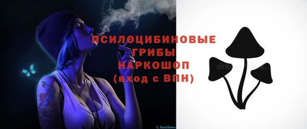 соль ск Арсеньев