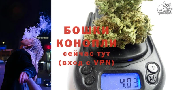 соль ск Арсеньев