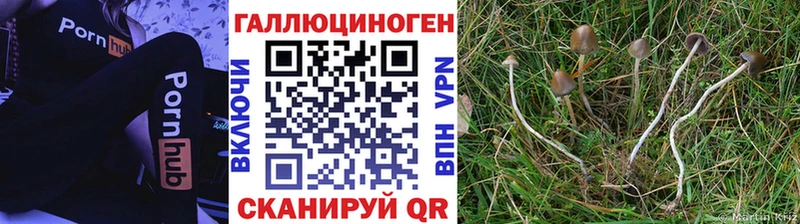 Галлюциногенные грибы MAGIC MUSHROOMS  Суровикино 